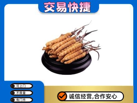 柳州礼品回收散虫草.jpg